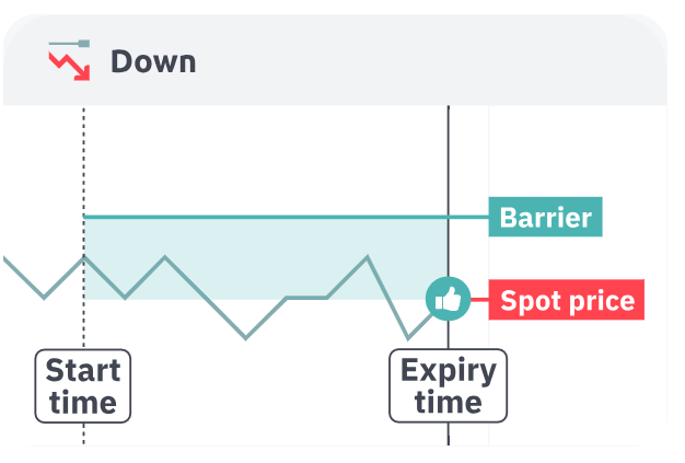 Turbo Down success scenario showing price falling below entry without touching knock-out barrier